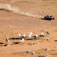 Imagini de la Raliul Dakar / Imago Images