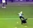 Arestări, polițiști și suporteri răniți! » Haos la Rangers - Celtic