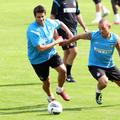 Cristi Chivu și Wesley Sneijder, pe vremea când scriau istorie la Inter / Foto: Imago