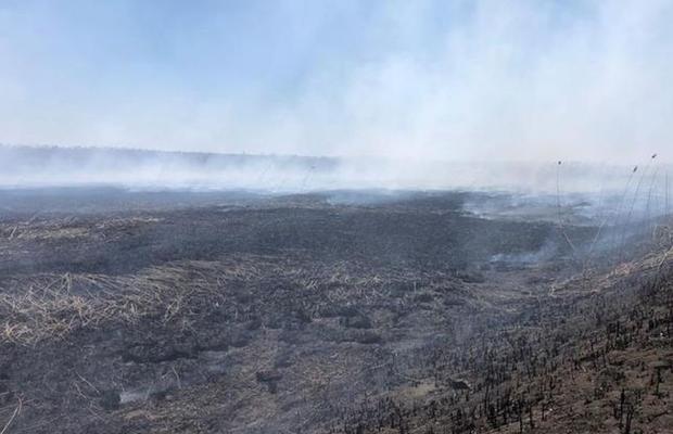 Poluare în București. Ce se întâmplă cu aerul din Capitală: „Cineva face mișto de noi” » Ministrul Mediului, primele explicații: „Miroase urât, dar nu e toxic”