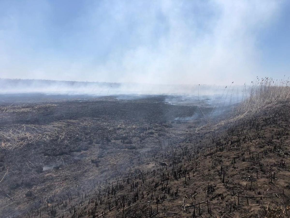 Poluare în București. Ce se întâmplă cu aerul din Capitală: „Cineva face mișto de noi” » Ministrul Mediului, primele explicații: „Miroase urât, dar nu e toxic”