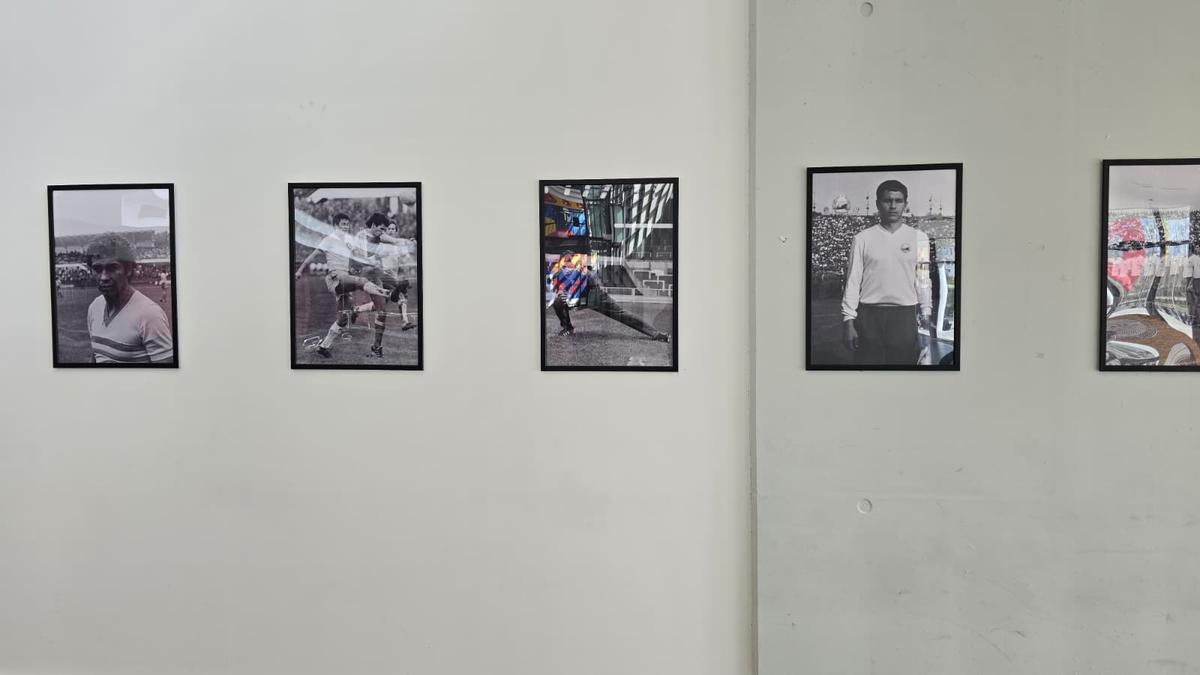 Mii de oameni la priveghiul lui Mircea Lucescu: imagini și filmul zilei » Sicriul va fi depus și mâine la Arena Națională