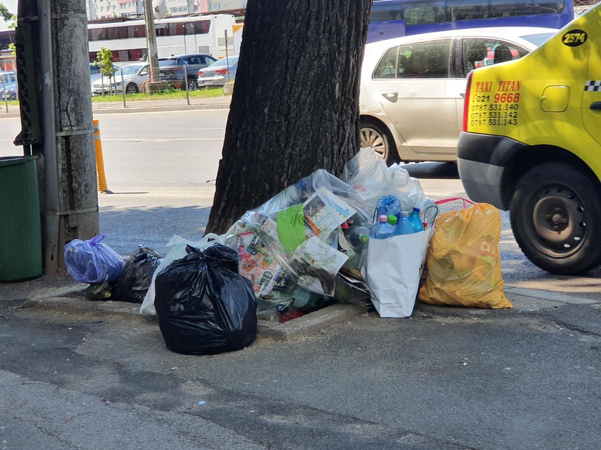 Așa întâmpinăm EURO! Coridor de gunoaie în Sectorul 1 » Imagini filmate azi în București: „Celor care vin le va fi scârbă”