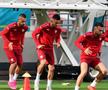 Macedonia de Nord s-a antrenat pe stadionul din Ghencea » Cum s-a prezentat gazonul