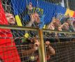 Ultrașii români au făcut scandal în Bosnia / Sursă foto: Raed Krishan (GSP)
