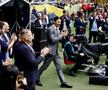 Zlatan Ibrahimovic a fost aclamat de un stadion întreg înainte de Suedia - Serbia / foto: Imago