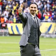 Zlatan Ibrahimovic a fost aclamat de un stadion întreg înainte de Suedia - Serbia / foto: Imago