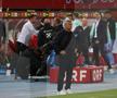 Mircea Lucescu, la meciul Austria - România 2-1 FOTO: Ionuţ Iordache (GSP)