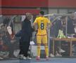 Mircea Lucescu, la meciul Austria - România 2-1 FOTO: Ionuţ Iordache (GSP)