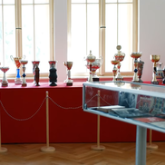 Echipament UTA Arad sezonul 2025-2026 / Foto: capturi de ecran