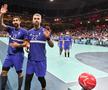 Retragerea lui Nikola Karabatic