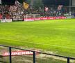 Imagini incredibile! Gazon deplorabil la Metaloglobus - Dinamo