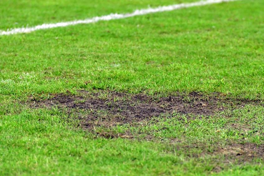 Gazon de Liga 3 la Metaloglobus - Dinamo, pe stadionul din Clinceni / FOTO: Cristi Preda (GSP)