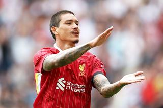 Darwin Nunez merge la vizita medicală. Cât primește Liverpool