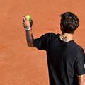 Flavio Cobolli și unul dintre tatuajele sale Foto: Imago Images