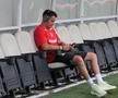 Dinamo - Voluntari, imagini înaintea partidei de pe stadionul Arcul de Triumf