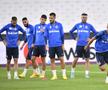 L-a făcut pe Nicolae Dică să plângă în Norvegia, acum e alături de FCSB la Londra: „A ținut neapărat să vină”