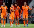 Olanda - Bosnia (5-2)