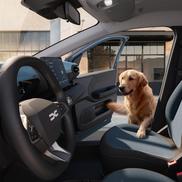 Dacia a lansat oficial noul model Spring/ Foto: media.dacia.ro