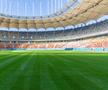 Arena Națională, după schimbarea gazonului / foto: Facebook @ Primăria Municipiului Bucureşti