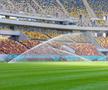 Arena Națională, după schimbarea gazonului / foto: Facebook @ Primăria Municipiului Bucureşti