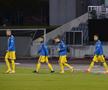 Islanda - România, semifinală play-off Euro 2020