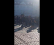 Suporterii Stelei, conflict cu Jandarmeria din Sibiu / Sursă foto: turnulsfatului.ro