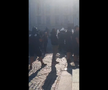 Suporterii Stelei, conflict cu Jandarmeria din Sibiu / Sursă foto: turnulsfatului.ro