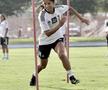 Stefany Ferrer Van Ginkel