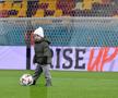 Florin Tănase și „comoara” Zian, pe gazon după victoria FCSB-ului / FOTO: Cristi Preda (GSP)