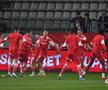 Dinamo - CFR Cluj. Imagini din tribune