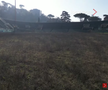 Cum a ajuns să arate stadionul Flaminio, situat chiar în centrul Romei