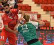 Dinamo - Fuchse
