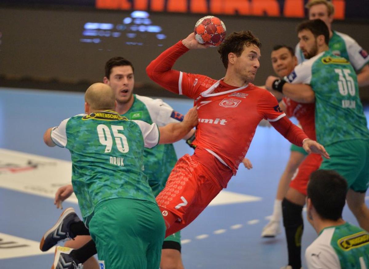Dinamo - Fuchse