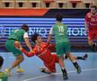 Dinamo - Fuchse