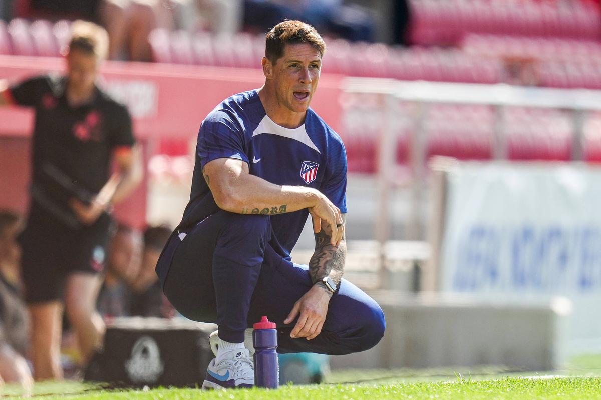 Fernando Torres a semnat pe două sezoane