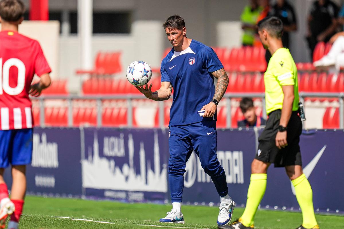 Fernando Torres a semnat pe două sezoane