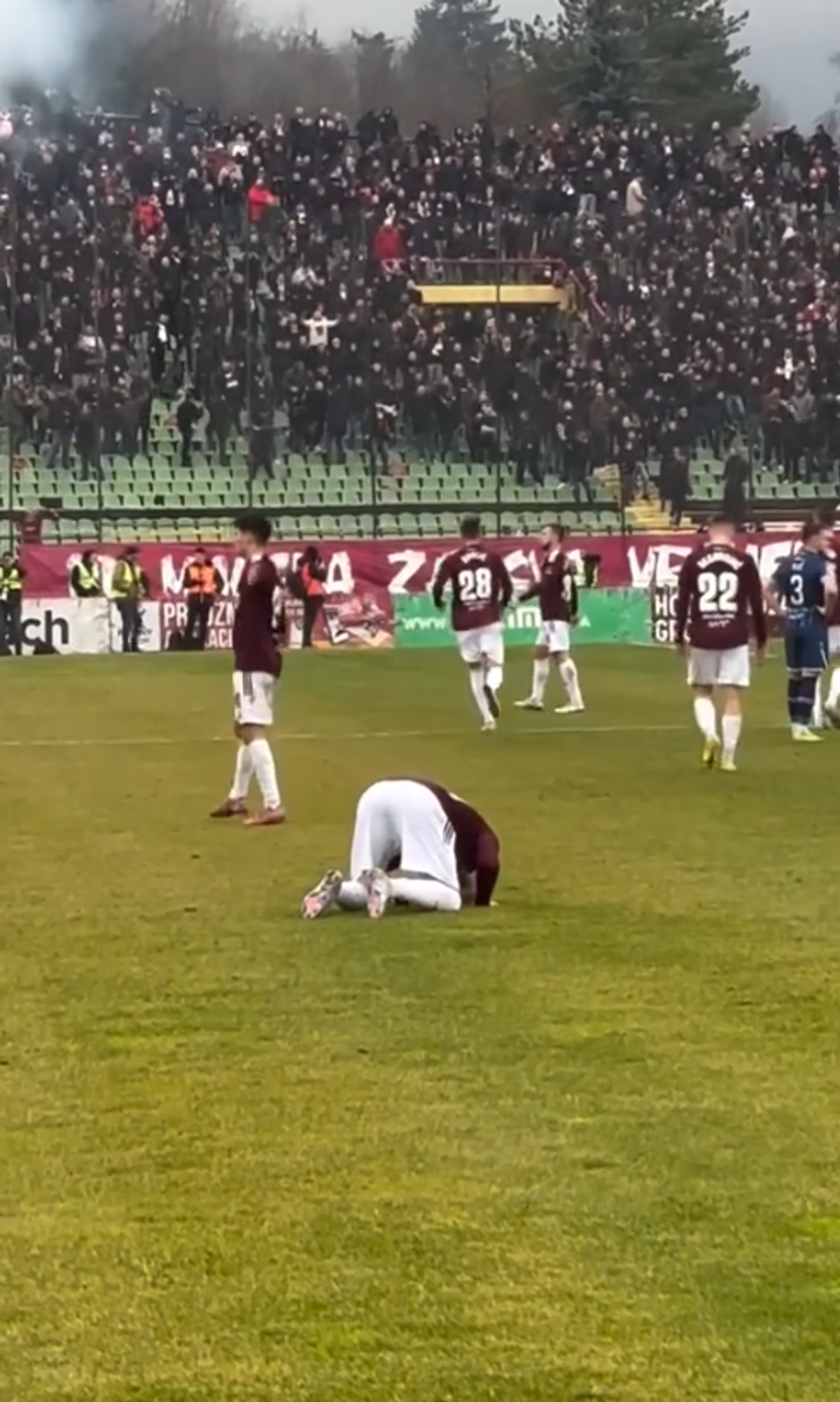 Gestul obscen făcut de Adem Ljajic