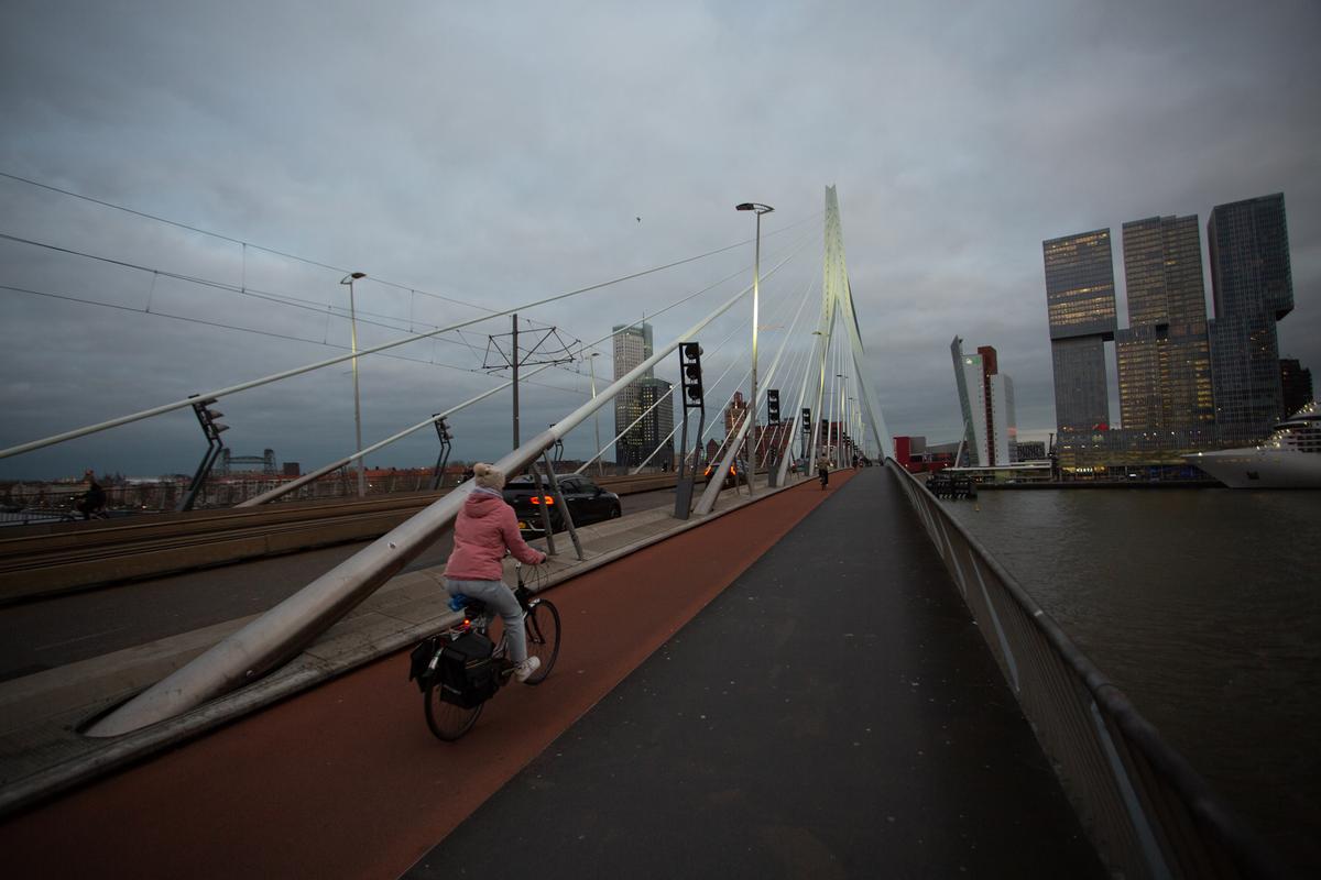Imagini din Rotterdam