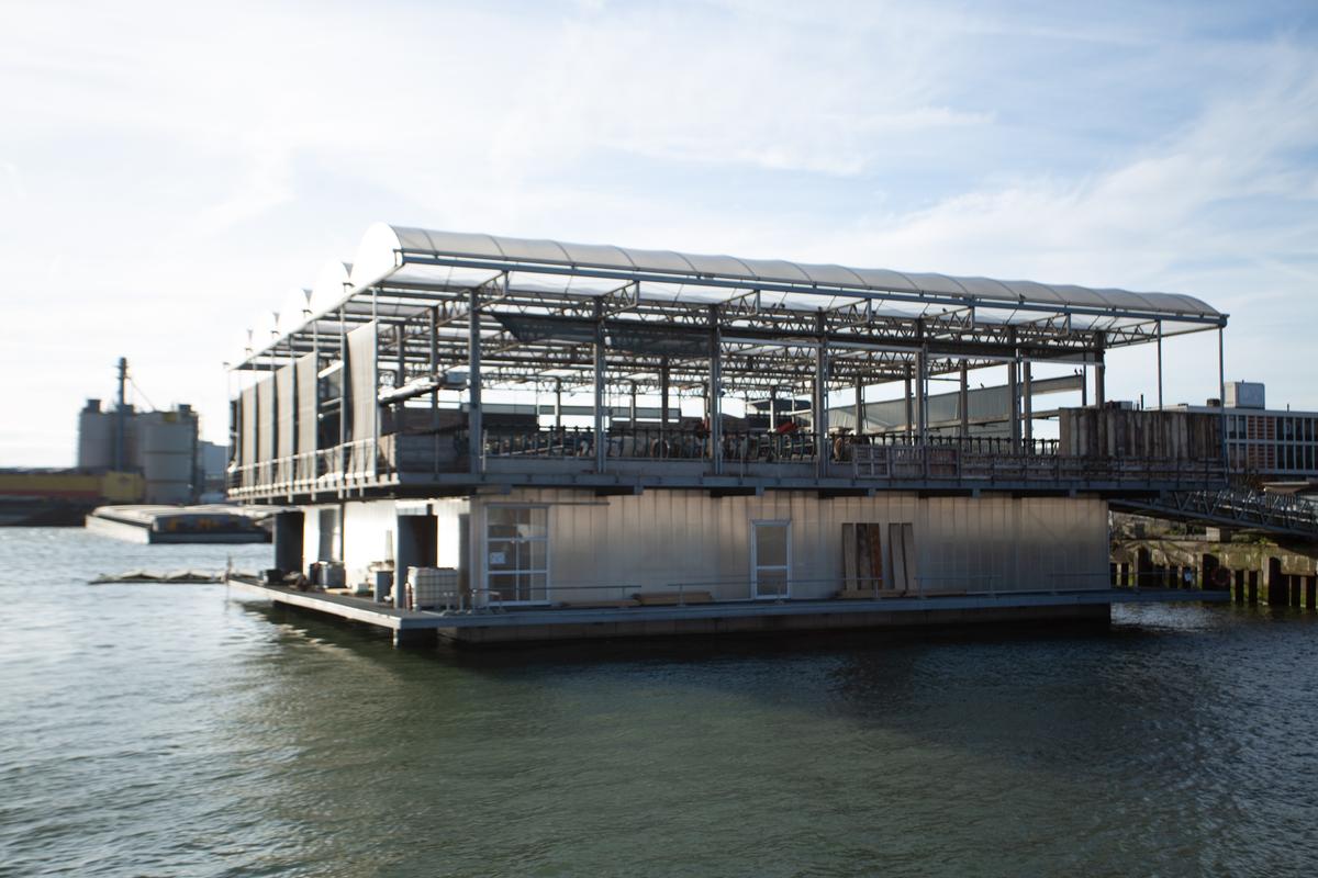 Imagini din Rotterdam