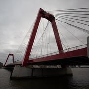 Imagini din Rotterdam FOTO: Ionuț Iordache