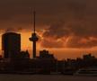 Imagini din Rotterdam FOTO: Ionuț Iordache