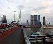 Imagini din Rotterdam FOTO: Ionuț Iordache