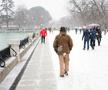 Ninsorile din Madrid - imagini spectaculoase. Sursă foto: Imago Images