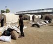Stadionul „Yarmouk” din Fâșia Gaza, transformat într-un centru de refugiați / foto: Imago