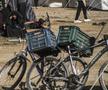 Stadionul „Yarmouk” din Fâșia Gaza, transformat într-un centru de refugiați / foto: Imago