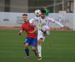 FCSB – Beșiktaș  // FOTO: Ionuț Iordache (GSP)