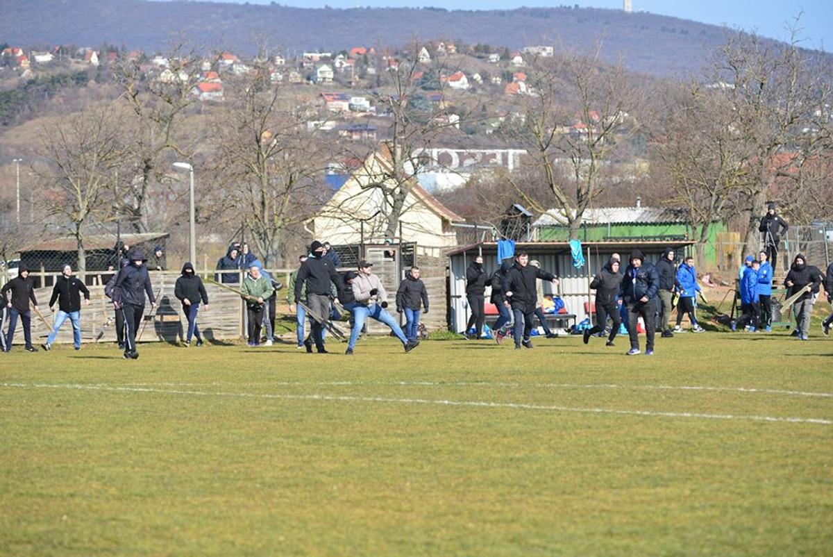 FOTO Măcel la un amical: ungurii și croații au intrat pe teren cu bâtele și s-au luat la bătaie