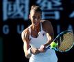 Ilie Năstase, vehement la adresa organizatorilor de la Australian Open: „E ridicol! E bătaie de joc! Trebuia anulat”