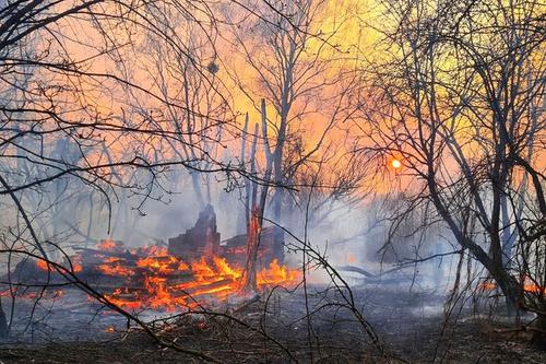 Sursă foto: YAROSLAV YEMELIANENKO/EPA-EFE/Shutterstock